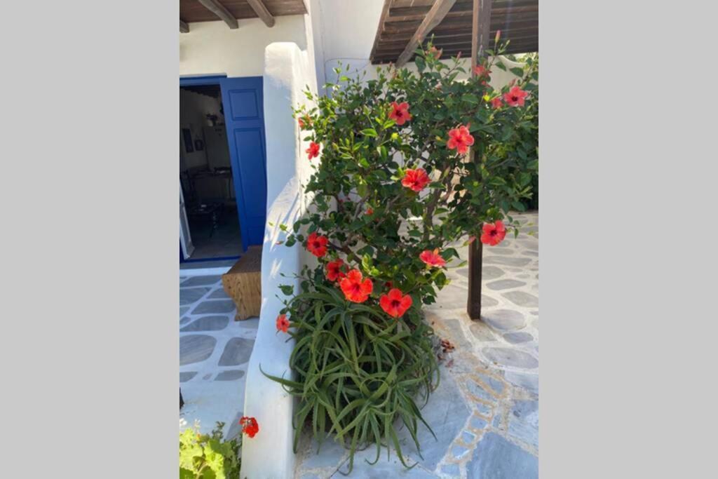 Pigeon House Ornos Beach Mykonos Town Kültér fotó